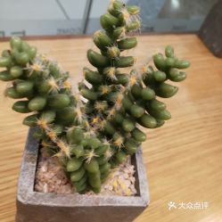 馬鞍山雨山區(qū)面包飲品團購指南 價格、地址、營業(yè)時間及美食推薦